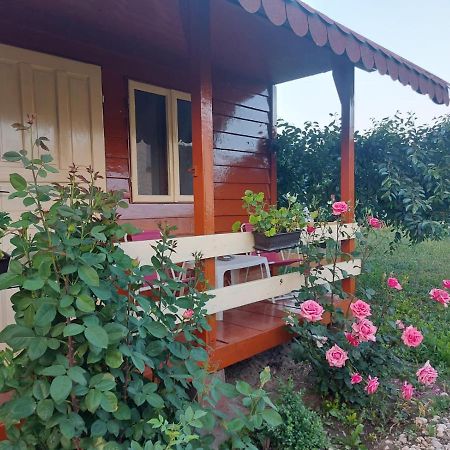 Pensiunea Raluca Mahmudia Kültér fotó