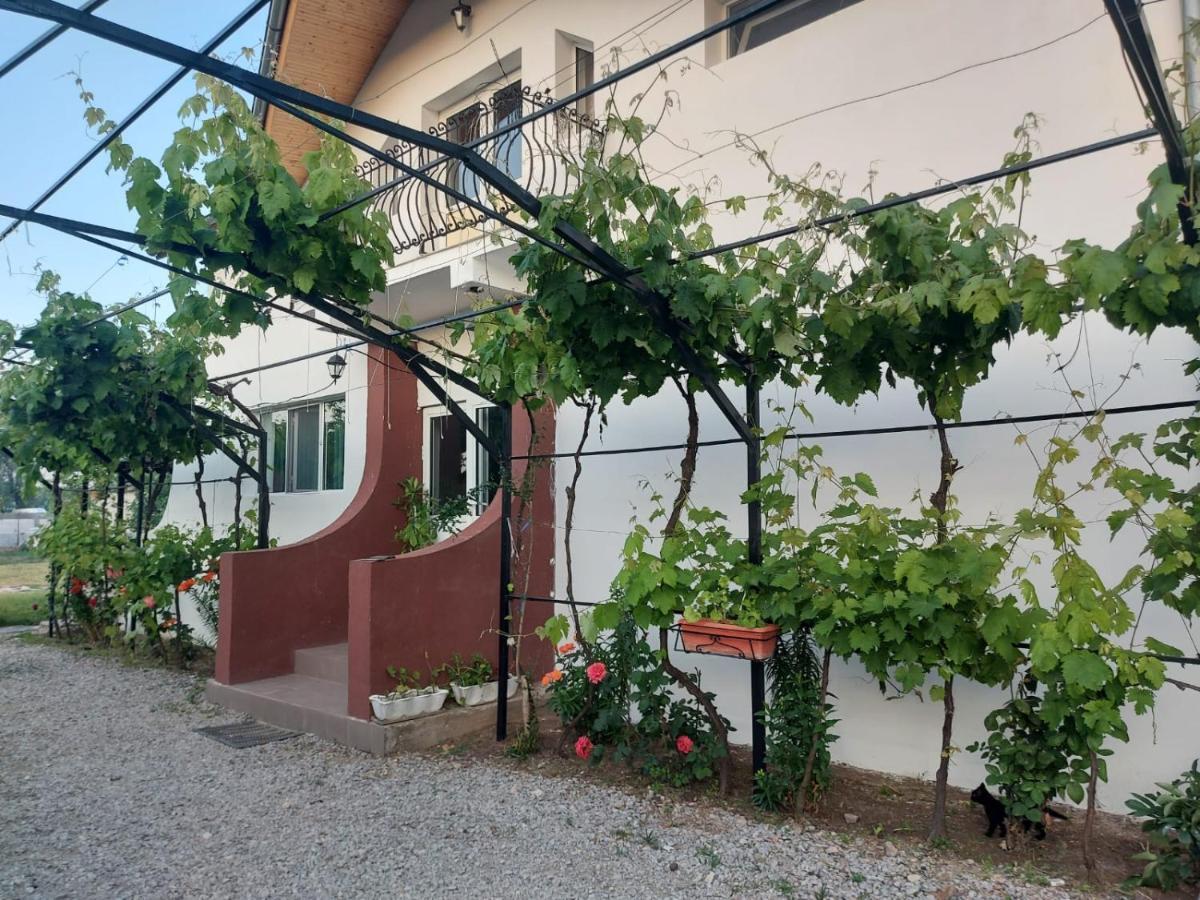 Pensiunea Raluca Mahmudia Kültér fotó